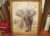 pieters theo Elephant pieters theo Elephant