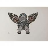 PINGWARTOK Ulayu Young Owl PINGWARTOK Ulayu Young Owl
