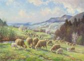 PLANKENHORN Jakob Blick Auf Thalheim Auf Der Schwäbischen Alb Mit Einer Schafherde Im Vordergrund PLANKENHORN Jakob Blick Auf Thalheim Auf Der Schwäbischen Alb Mit Einer Schafherde Im Vordergrund