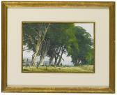 PLEISSNER Ogden Minton Study Of Beech Trees PLEISSNER Ogden Minton Study Of Beech Trees