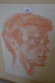 POLLITZER Sigmund Portrait Of A Young Man POLLITZER Sigmund Portrait Of A Young Man