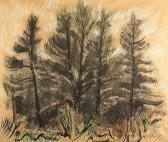POOR Henry Varnum Larch Trees POOR Henry Varnum Larch Trees