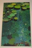 PRESTON FRIEDLANDER Allan Green Shimmering Pond PRESTON FRIEDLANDER Allan Green Shimmering Pond