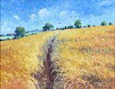 PRESTON JAMES T. The Path Through The Field PRESTON JAMES T. The Path Through The Field