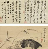 PU RU Wilting Lotus PU RU Wilting Lotus