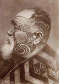 PULMAN Frederick Portrait Of Paora Tuhaere PULMAN Frederick Portrait Of Paora Tuhaere
