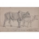 RÉGNAULT Henri Étude Pour Deux Zébus RÉGNAULT Henri Étude Pour Deux Zébus