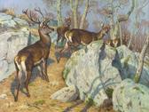 RÖTIG Georges Frédéric Cerfs Dans Les Rochers De La Forêt De Fontainebleau RÖTIG Georges Frédéric Cerfs Dans Les Rochers De La Forêt De Fontainebleau