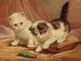 RAAPHORST Cornelis Cute Kittens RAAPHORST Cornelis Cute Kittens
