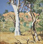 RAGLESS Max Near Mount Isa RAGLESS Max Near Mount Isa
