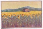 Randall Meg Sunflower Fields Randall Meg Sunflower Fields