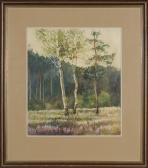RAPACKI Jozef Birches On The Moor RAPACKI Jozef Birches On The Moor