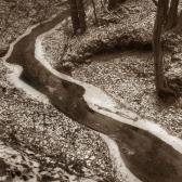 RATAJCZYK Urszula Fotografia Sepia RATAJCZYK Urszula Fotografia Sepia