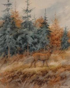  - rawling_brian-young_stag_on_the_edge_of_a_forest~OM3e8300~10478_20090604_040609_492
