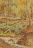 RAWLINGS Arthur Woodland Stream RAWLINGS Arthur Woodland Stream