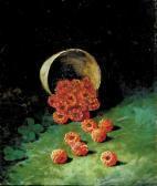 REAM Carducius Plantagen. Raspberries In REAM Carducius Plantagen. Raspberries In