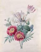 REDOUTE Pierre-Joseph Chèvrefeuille Et Oeillets D''inde REDOUTE Pierre-Joseph Chèvrefeuille Et Oeillets D''inde