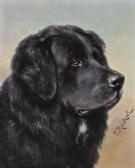 REICHERT Carl A Newfoundland; And A Setter REICHERT Carl A Newfoundland; And A Setter