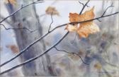 REIFERS Todd Maple Leaf REIFERS Todd Maple Leaf