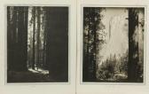 REIFF Robert Frank Two Views Of Yosemite Park REIFF Robert Frank Two Views Of Yosemite Park