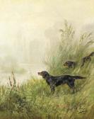 REYNE Charles Setters In The Marshes REYNE Charles Setters In The Marshes