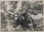 RICHARD DEANE A Steer RICHARD DEANE A Steer