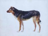 RICHARDSON John Isaac Dog Studies RICHARDSON John Isaac Dog Studies