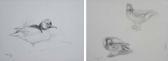 RICKMAN Philip Goosander And Another Study Of Ducks RICKMAN Philip Goosander And Another Study Of Ducks
