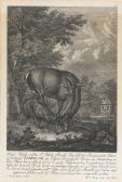 RIDINGER Johann Elias Hunting Scenes And Wild Animals RIDINGER Johann Elias Hunting Scenes And Wild Animals