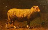 ROBBE Louis A Study Of A Sheep ROBBE Louis A Study Of A Sheep