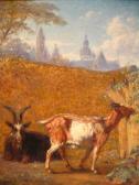 ROBBE Louis Goats In A Walled Enclosure ROBBE Louis Goats In A Walled Enclosure