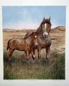 ROBERTON Jon Mustangs ROBERTON Jon Mustangs