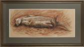 ROBERTS Arthur Spencer Young Otter ROBERTS Arthur Spencer Young Otter