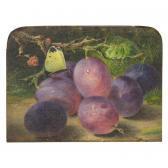ROBERTS Benjamin Still Life Of Plums With A Cabbage White ROBERTS Benjamin Still Life Of Plums With A Cabbage White