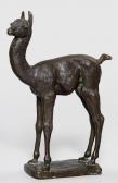 ROHDE Dietrich Lama ROHDE Dietrich Lama
