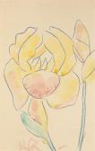 ROHLFS Christian Gelbe Iris ROHLFS Christian Gelbe Iris