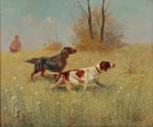 rohr fred Chiens De Chasse rohr fred Chiens De Chasse