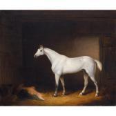 ROLFE Edmund A Grey Racehorse In A Stable ROLFE Edmund A Grey Racehorse In A Stable