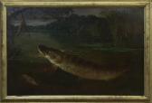 ROLFE Henry Leonidas The Pike Lure ROLFE Henry Leonidas The Pike Lure