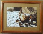 ROMOLI R. Galline ROMOLI R. Galline