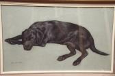 RONA Alexander Study Of Lying Labrador Dog RONA Alexander Study Of Lying Labrador Dog