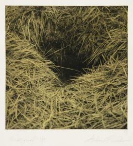 Grass Hole
