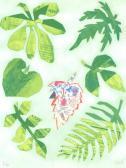 ROTH Otavio Medicinal Plants - United Nations ROTH Otavio Medicinal Plants - United Nations