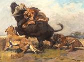 ROUBAL Franz Lions Attacking A Water Buffalo ROUBAL Franz Lions Attacking A Water Buffalo