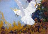 ROUNTREE Harry Cockatoo ROUNTREE Harry Cockatoo