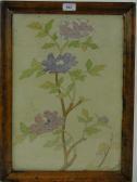 ROWNTREE Irma Botanical Study ROWNTREE Irma Botanical Study