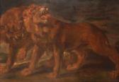 RUBENS Peter Paul Two Lions RUBENS Peter Paul Two Lions