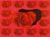 RUHLAND Eva Eine Rose Ist Keine Rose RUHLAND Eva Eine Rose Ist Keine Rose