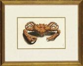 RUMPF Georg Eberhard Crabs And Lobsters RUMPF Georg Eberhard Crabs And Lobsters