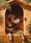 RUPERTI Karel Hund Mit Hirschkäfer RUPERTI Karel Hund Mit Hirschkäfer
